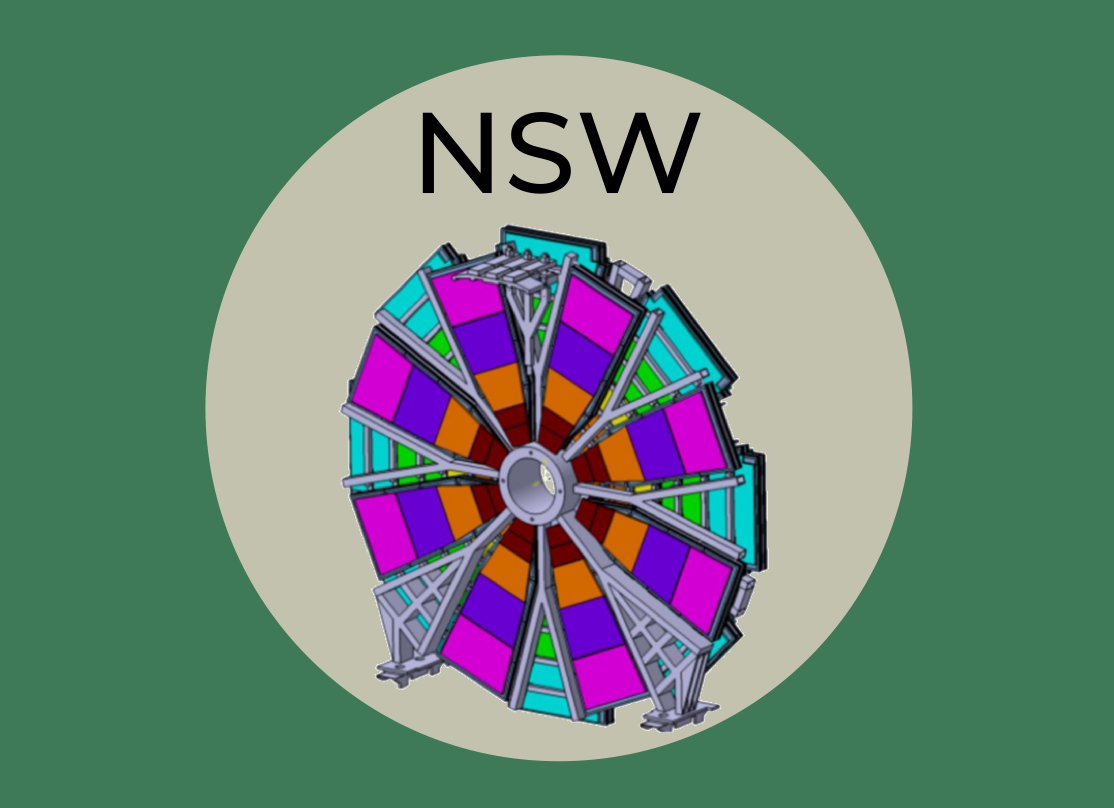 NSW detector